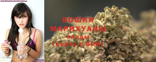 дживик Осташков