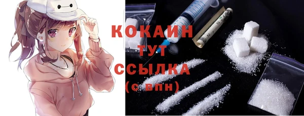 дживик Осташков