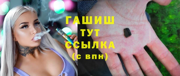 стаф Осинники
