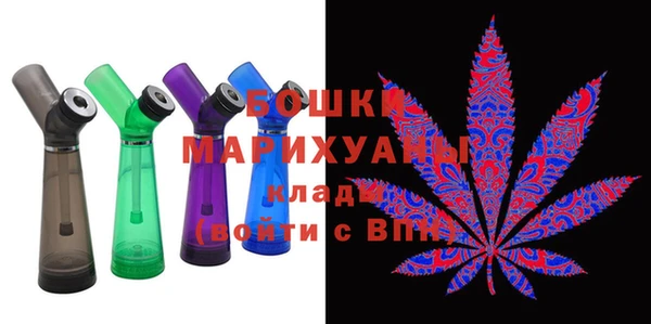 стаф Осинники