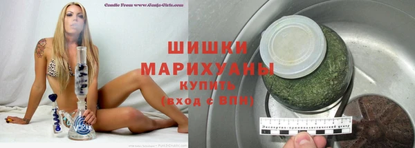 стаф Осинники