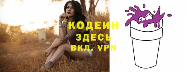 стаф Осинники