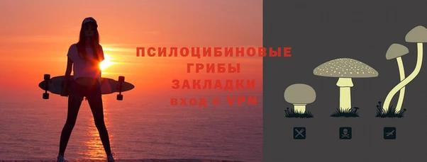 ALPHA PVP Остров