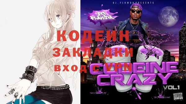 стаф Осинники