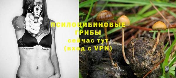 стаф Осинники