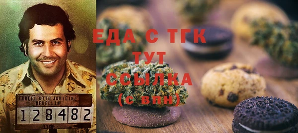 стаф Осинники