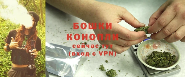 стаф Осинники
