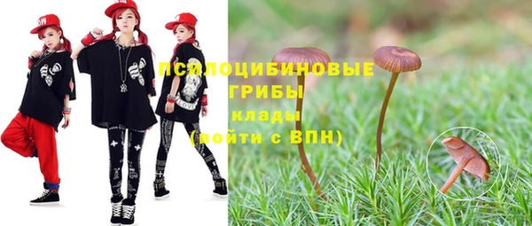 дживик Осташков